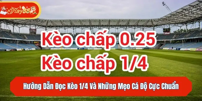 Hướng Dẫn Đọc Kèo 1/4 Và Những Mẹo Cá Độ Cực Chuẩn