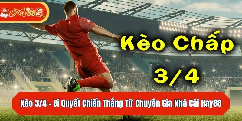 Kèo 3/4 - Bí Quyết Chiến Thắng Từ Chuyên Gia Nhà Cái Hay88