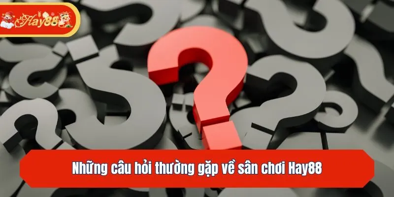 Những câu hỏi thường gặp về sân chơi Hay88